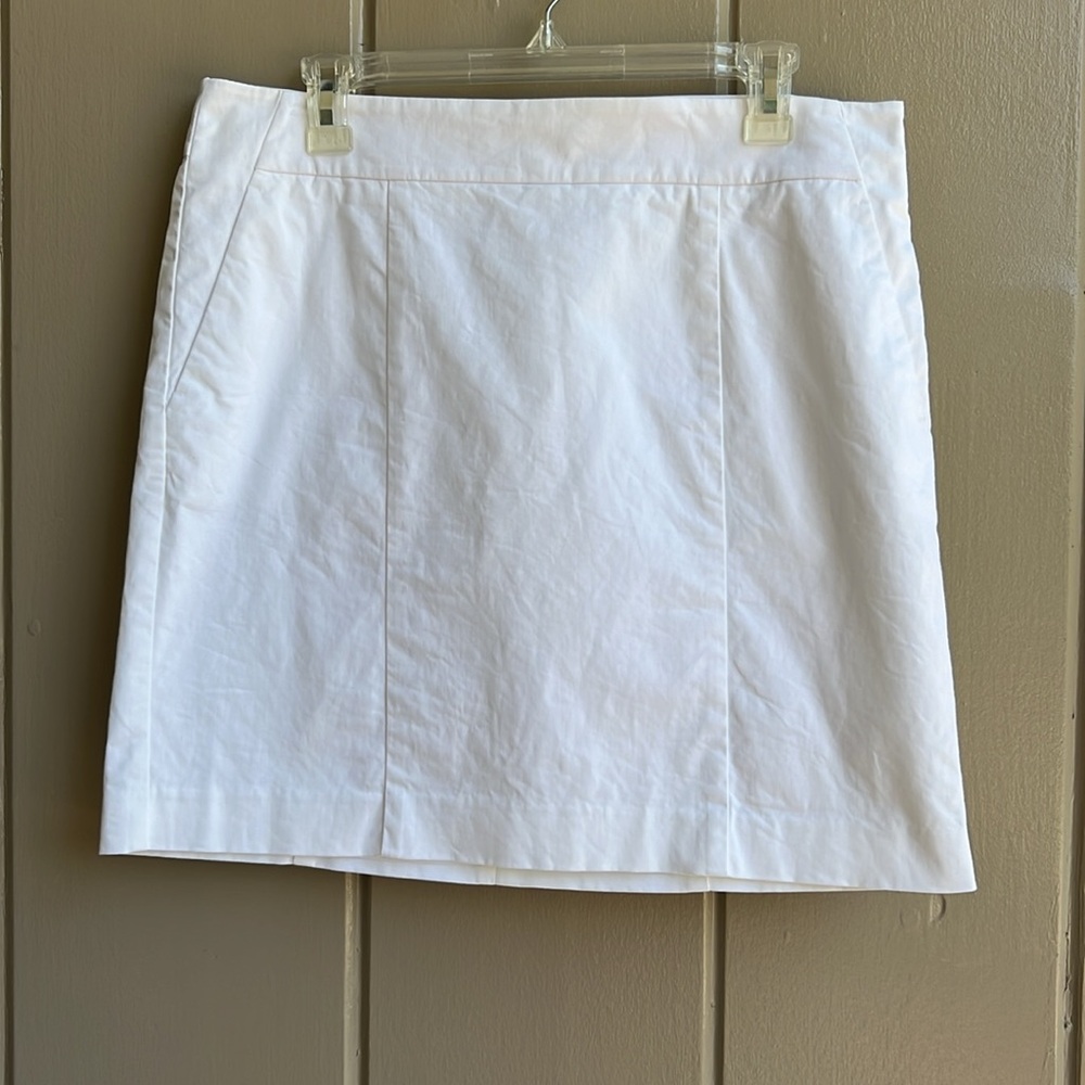 Ann Taylor Madison White Skirt_Size 10